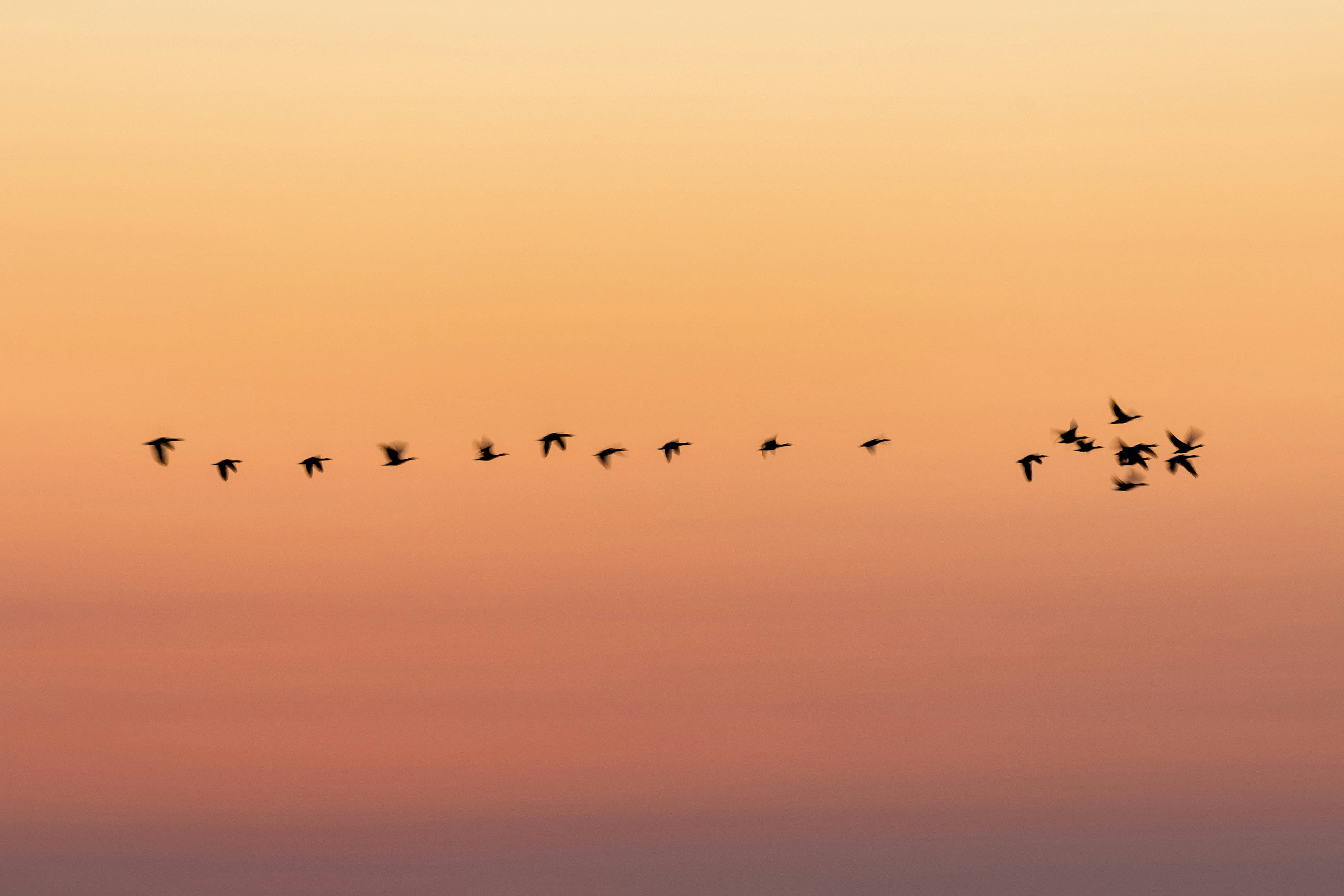 Migrazione ERP - Transizione sicura verso nuovi sistemi gestionali